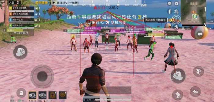 和平精英火焰鸟下载免费 - 热门直装辅助再次来袭